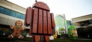 130904_kitkatt.hlarge