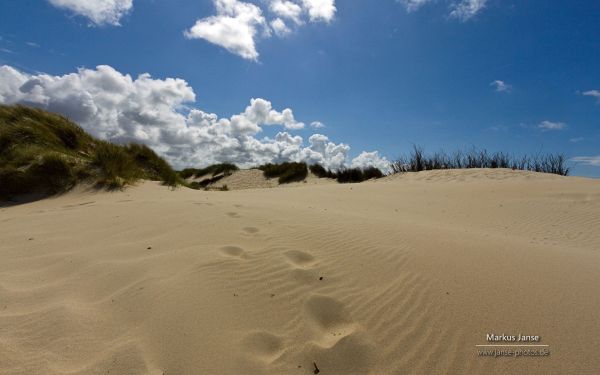 Spiekeroog, East Frisian Islands, Germany