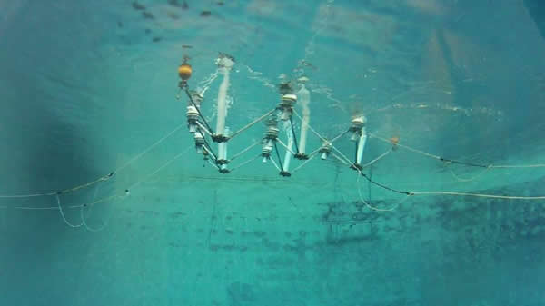 Dev WaveNET Elektrik Projesi!