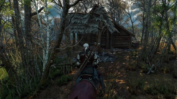 The_Witcher_3 (1)