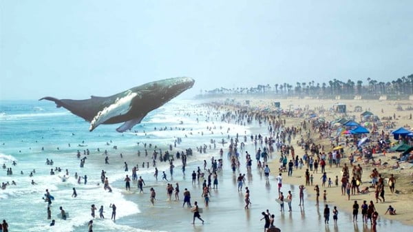 magic-leap-whale-augmented-reality[1]