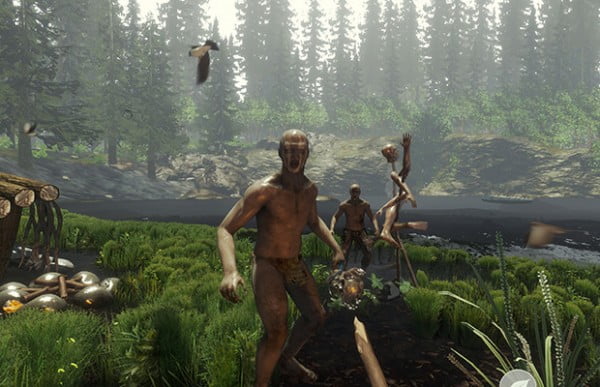 ForestCoOp-620x400[1]