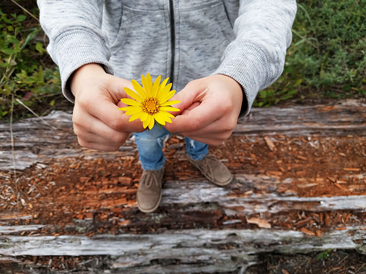 Nexus-5x-nexus-6p-kamera-ornekleri-4