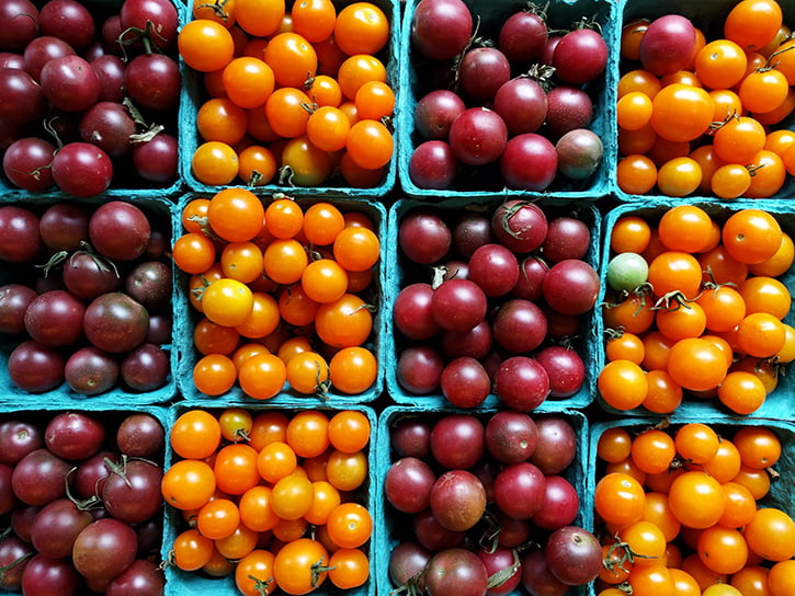 Nexus-5x-nexus-6p-kamera-ornekleri-9