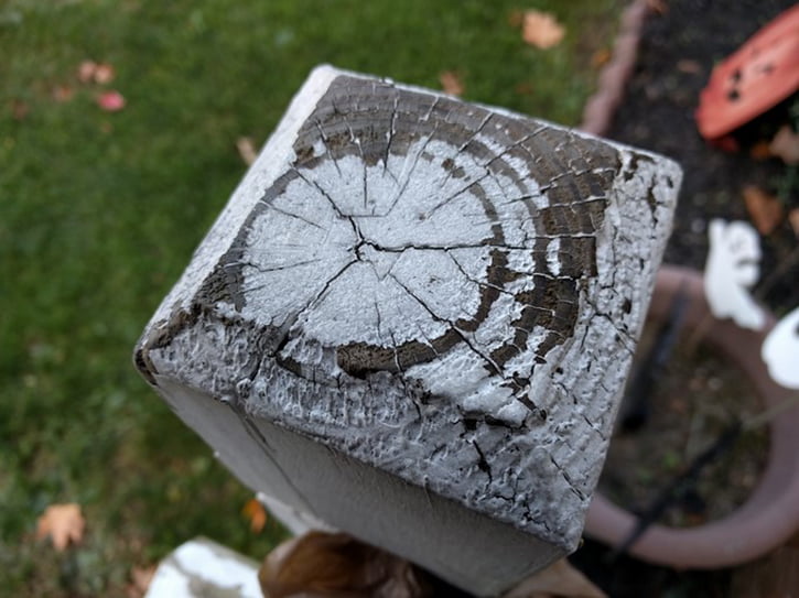 Nexus 5X ve Nexus 6P'nin kamerasından kareler! 2 3-nexus-5x-kamerasi