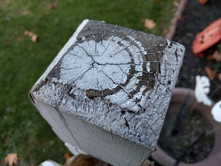 Nexus 5X ve Nexus 6P'nin kamerasından kareler! 3 3-nexus-6p-kamerasi