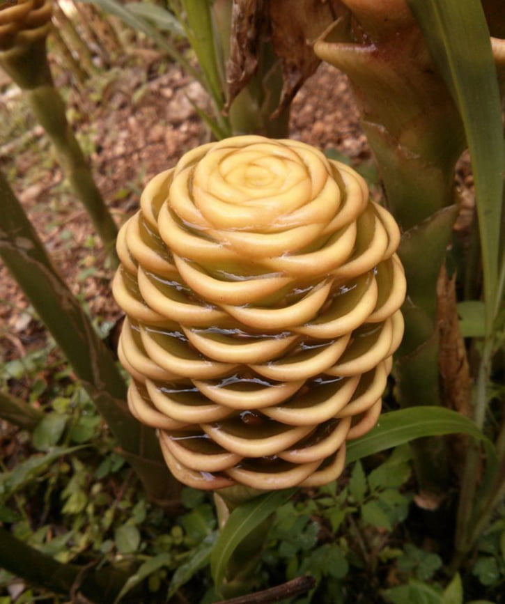 02-akilli-telefonla-cekilen-fotograflar