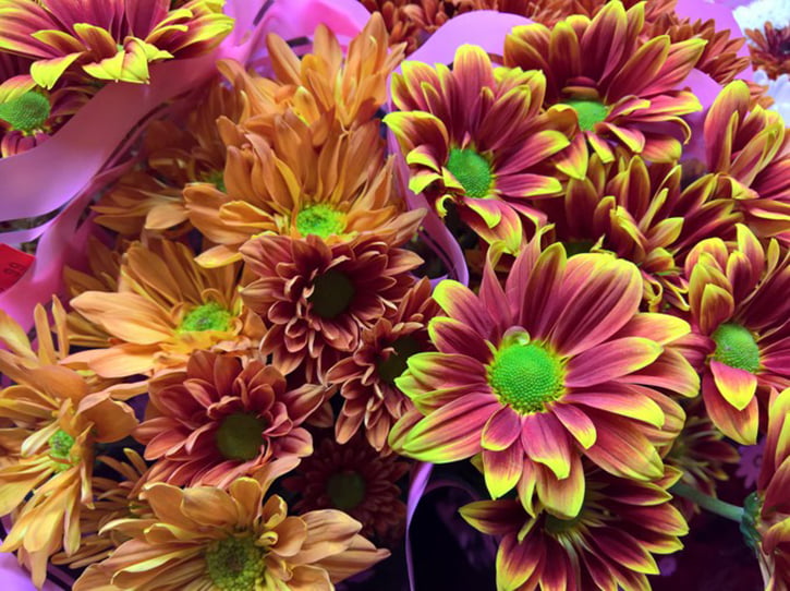 microsoft-lumia-950-kamerasi-1