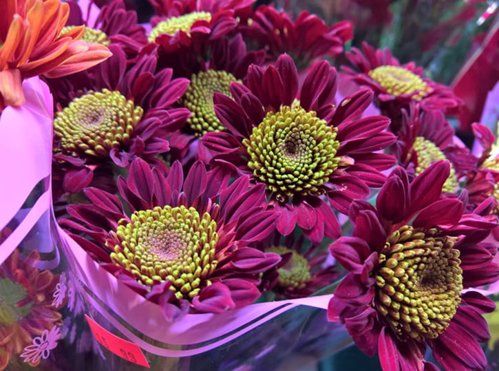 microsoft-lumia-950-kamerasi-2