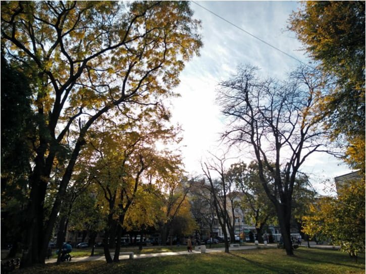 oneplus-x-kamera-ornekleri-06