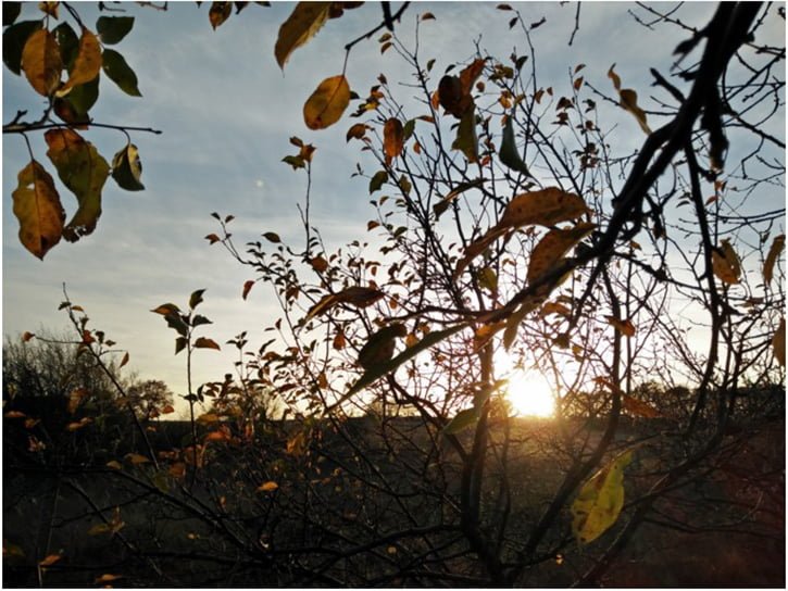 oneplus-x-kamera-ornekleri-08