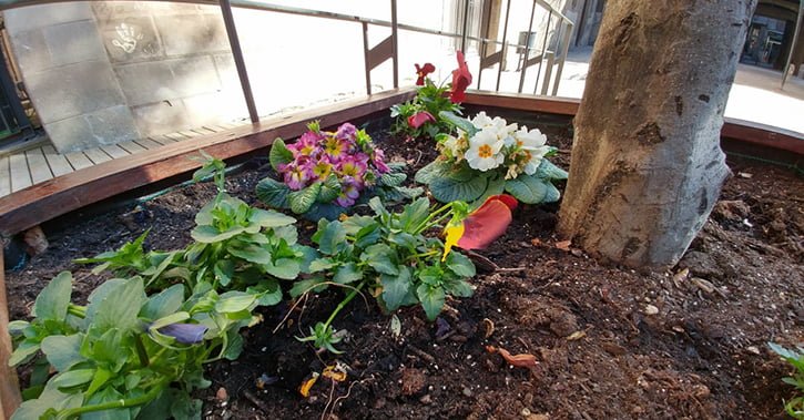 LG G5 kamera özellikleri ve örnek fotoğraflar