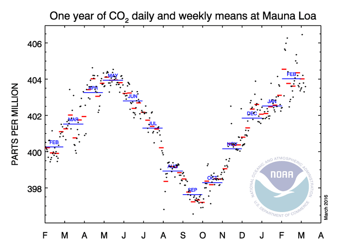 Dünya'nın Sonu Hiç İyi Değil! 2 karbondioksit-miktarı