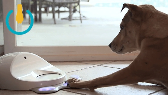 2016 yılının en ilginç cihazları