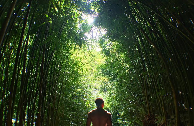 olloclip-balikgozu-lens