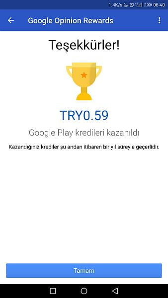 Google ödüllü anketler 1