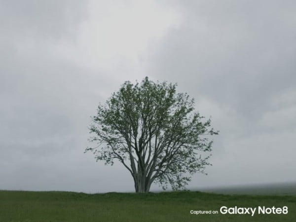 Galaxy-Note-8-official-sample-main-camera-1-640x480