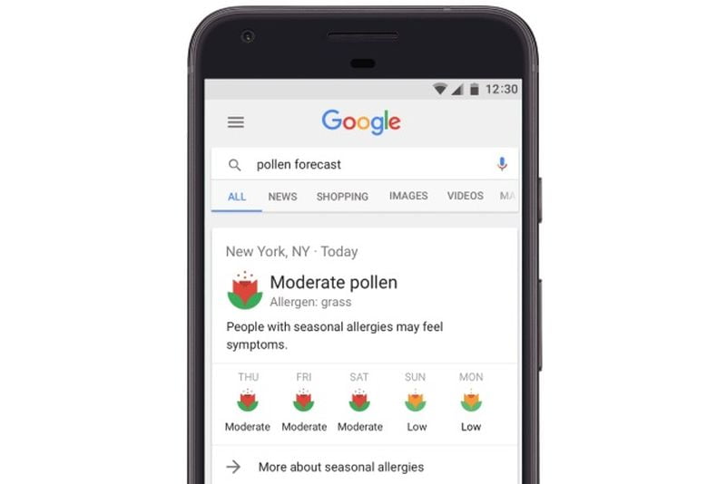 Google 'a Yeni Bir Özellik Daha Eklendi Polen Tahminleri (2)