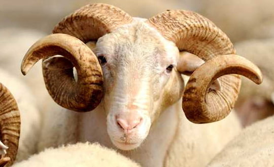 Galaxy Note 8 yerine alınabilecek 5 farklı ürün! 2 samsung -6