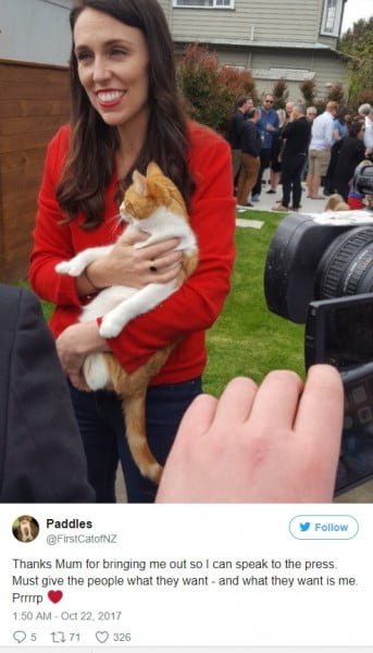 Yeni Zelanda Başbakanının Twitter kullanan kedisi Paddles ile tanışın