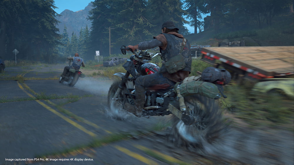 Days Gone 3