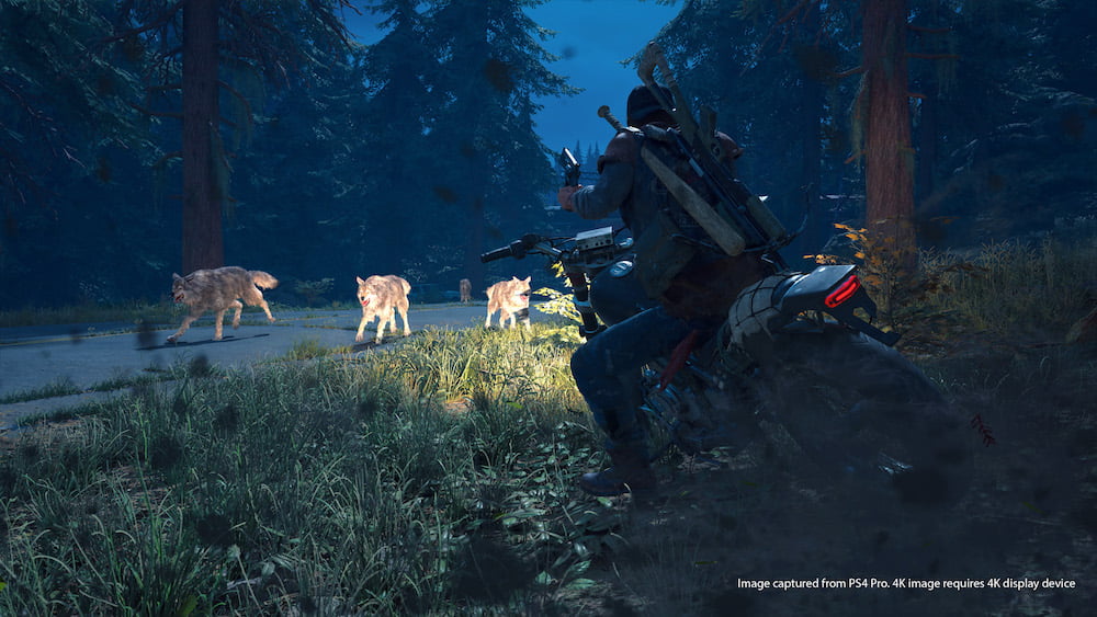 Days Gone 9
