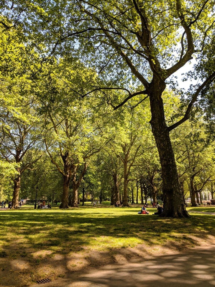 kamera karşılaştırması