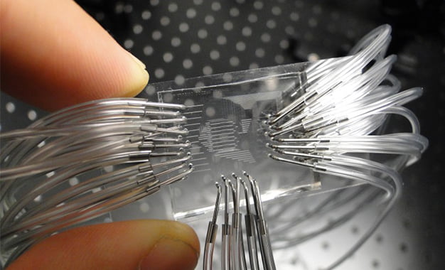 Kanseri Erken Teşhis Edebilen Çip Geliştirildi