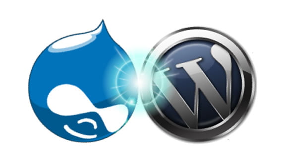 WordPress'te Büyük Açık! 23 WordPresste Buyuk Acik