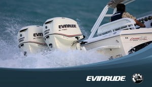 evinrudeaction1