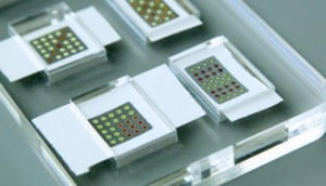 Litmus Diye Adlandırılan Kâğıt ile Hastalıklar Tespit Ediliyor 19 litmus