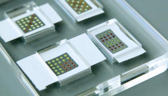 Litmus Diye Adlandırılan Kâğıt ile Hastalıklar Tespit Ediliyor 1 litmus