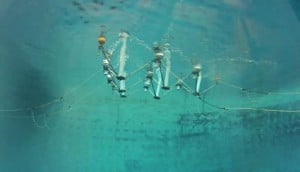 Dev WaveNET Elektrik Projesi! 8 Dev WaveNET Elektrik Projesi