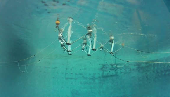 Dev WaveNET Elektrik Projesi