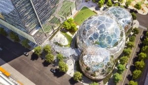 Dünya Devi İnternet Şirketlerinde Kaç Kişi Çalışıyor 18 amazonon