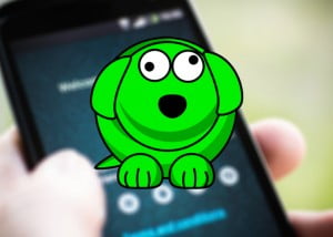 apertura whatsdog whatsapp