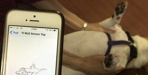 anicall Shiraseru Am