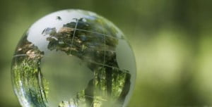 Çevreye Duyarlı İş Yapmak Mümkün 29 xerox