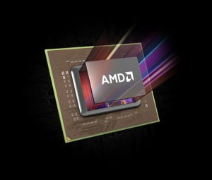 amd1