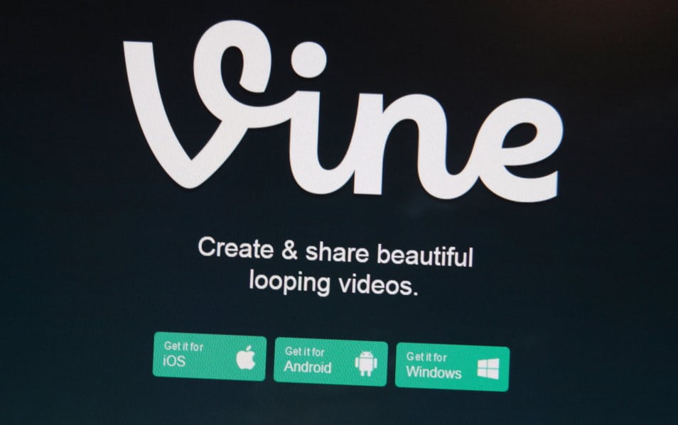 vine guncelleme