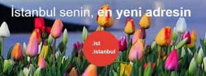 .istanbul ve .ist alan adları geliyor! 17 istanbul alan adi sureci