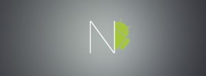 android n 1