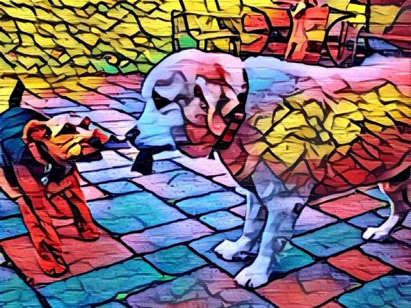 prisma1