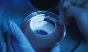 Kısırlık yakın zamanda sona erecek 18 mice