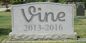 vine rip