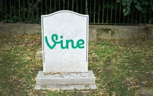 vine 17 ocak