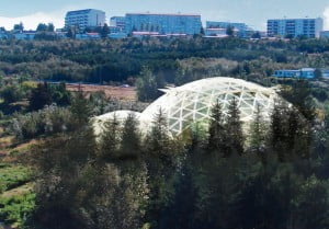 izlanda ekolojik biodomelar