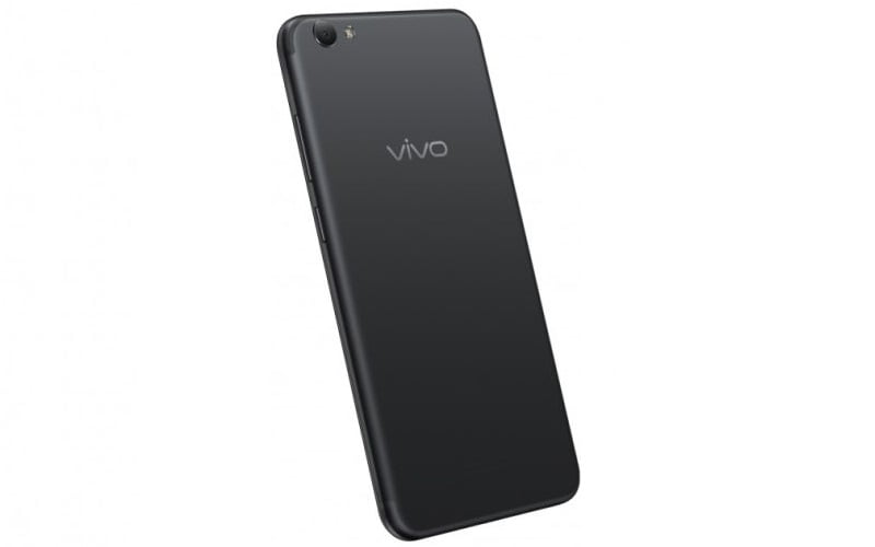 Vivo