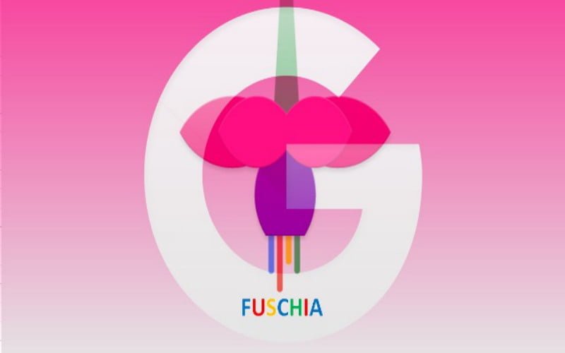 google fuchsia resim