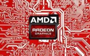 amd kar oranı